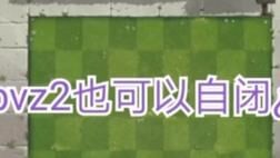 哪咏春拳使用