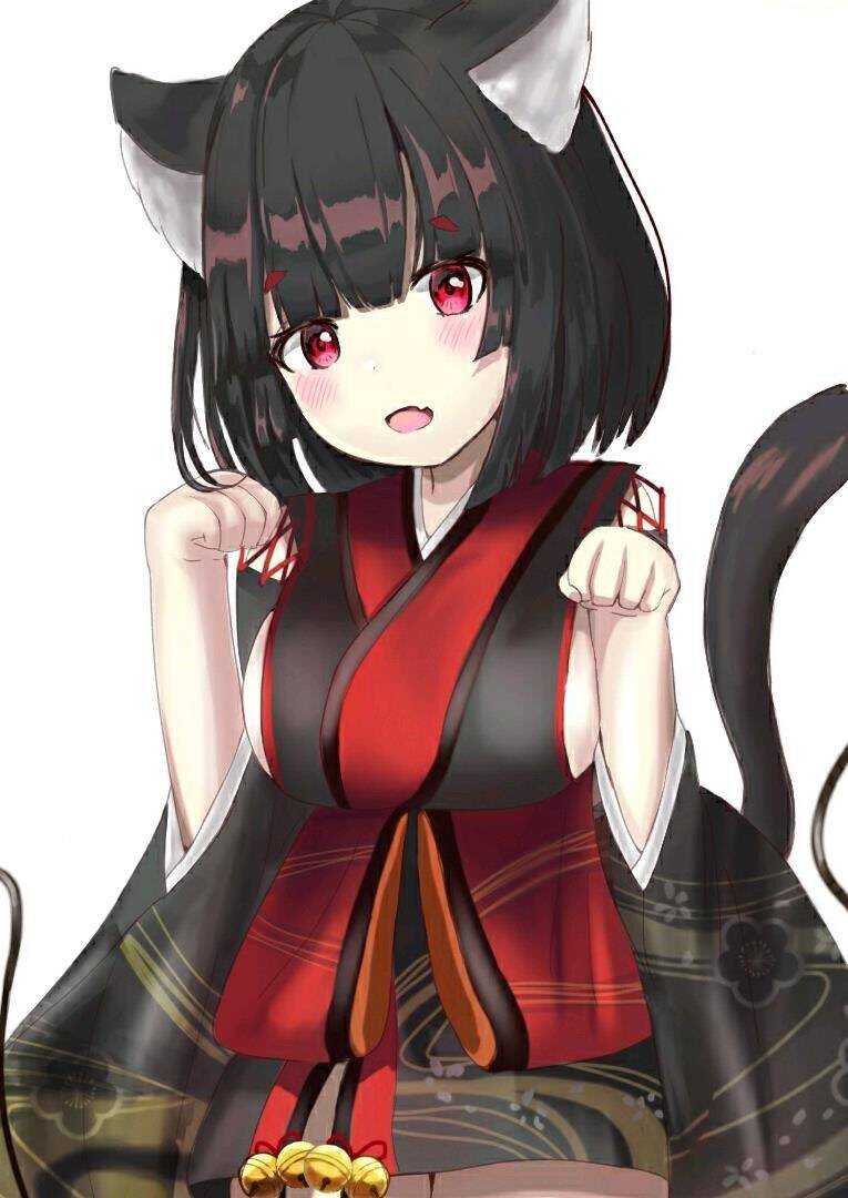 红染活动任务