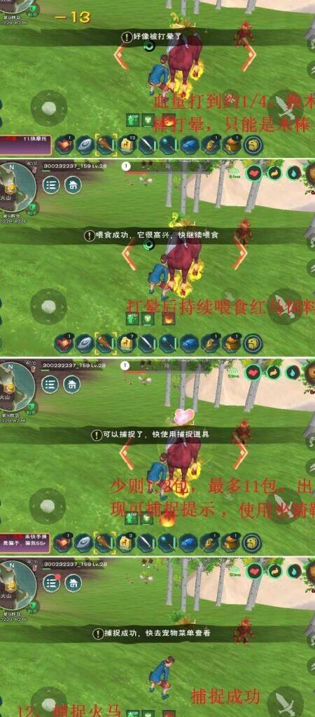 创造与魔法橙色花获取攻略，助你提高游戏表现