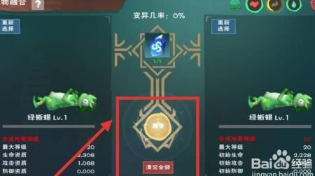 水晶兔吃什么