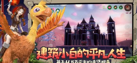 火龟极品多少