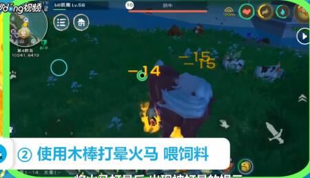 牛在哪获得