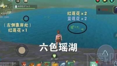 创造与魔法新出植物-新版植物|小麦植物圈|新版植物圈