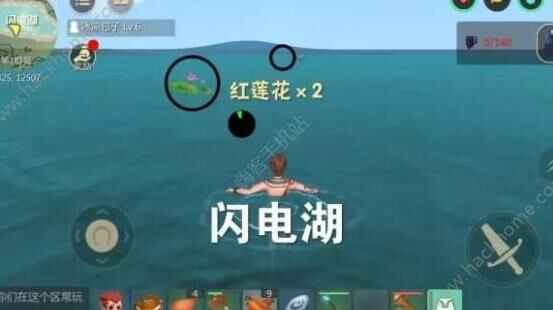 鲨鱼怎么是极品
