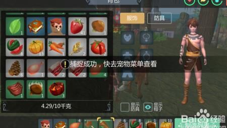 创造与魔法训龙饲料的制作方法及技巧分享