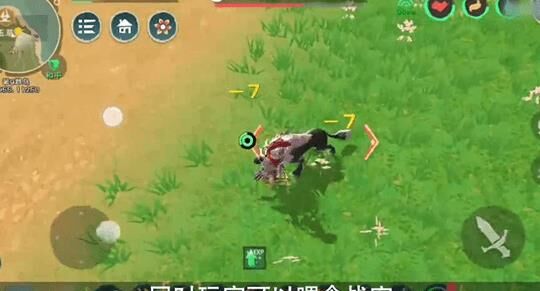 创造与魔法魔法经验提升秘籍分享