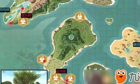 创造与魔法云鸟多少包能抓？云鸟在创造与魔法中的捕捉机制详解