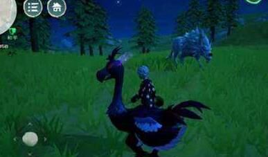 创造与魔法：玩转坐骑，享受魔法奇遇