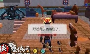 什么动物是极品