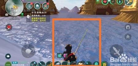 金毛牛在哪