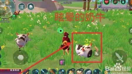 火龙能交易吗