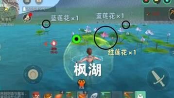 青青猪怎么样刷