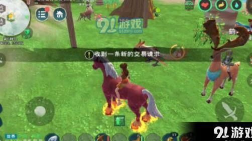 开云龙礼包