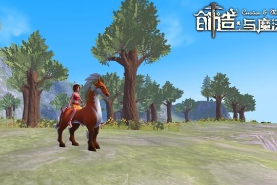 号在哪买便宜