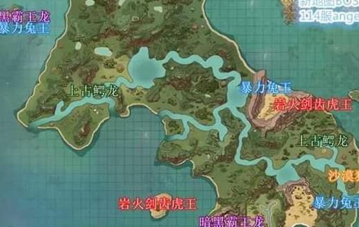 宠物怎么收