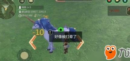 飞龙图纸哪里有
