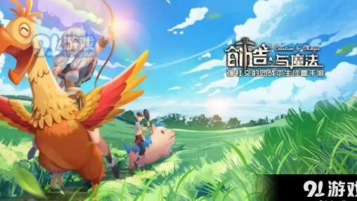 幼鲨在哪抓