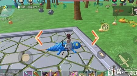 创造与魔法高级套装-高级松鼠|高级特工|高级特粮