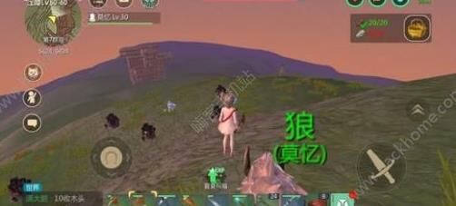 双生会掉吗