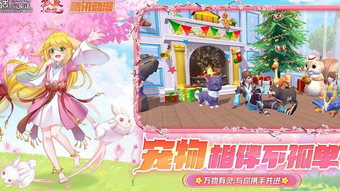 珊瑚有几个