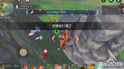 辣椒是什么价位