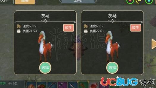 速飞龙新版礼包限时放送，快来体验创造与魔法的世界！