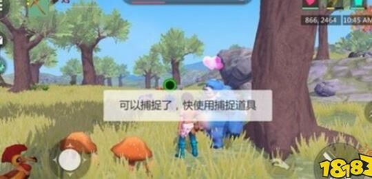  创造与魔法礼包使用指南——让你更轻松体验游戏乐趣