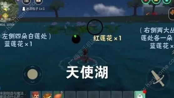 创造与魔法松露分布-松露分部|松露攻略|松露方位