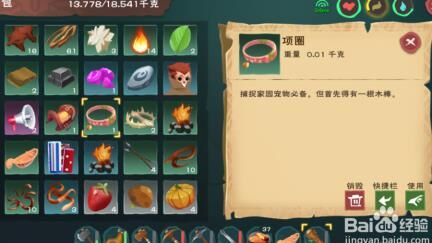 创造与魔法比较帅衣服-比较实惠食物|比较实用坐骑|比较实用宠物