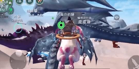 创造与魔法抓宠物猪-抓宠物羊|抓宠物鱼|抓宠物乌龟