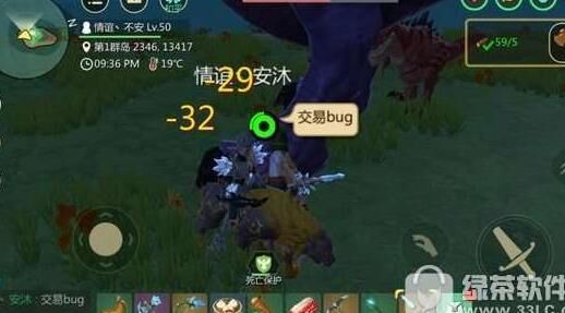什么树最贵