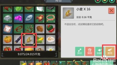 创造与魔法红豆在哪？快来寻找你的魔法宝藏！