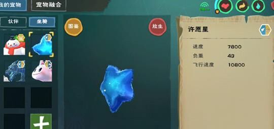 创造与魔法中可以创建水池吗？玩家秘籍揭秘！