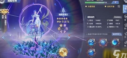 ：斗罗大陆魂师对决魂师培养策略及顺序解析