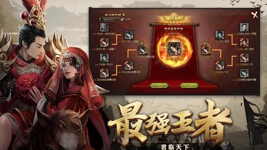 vivo哪个版本