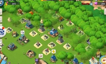 菜农号怎么培育