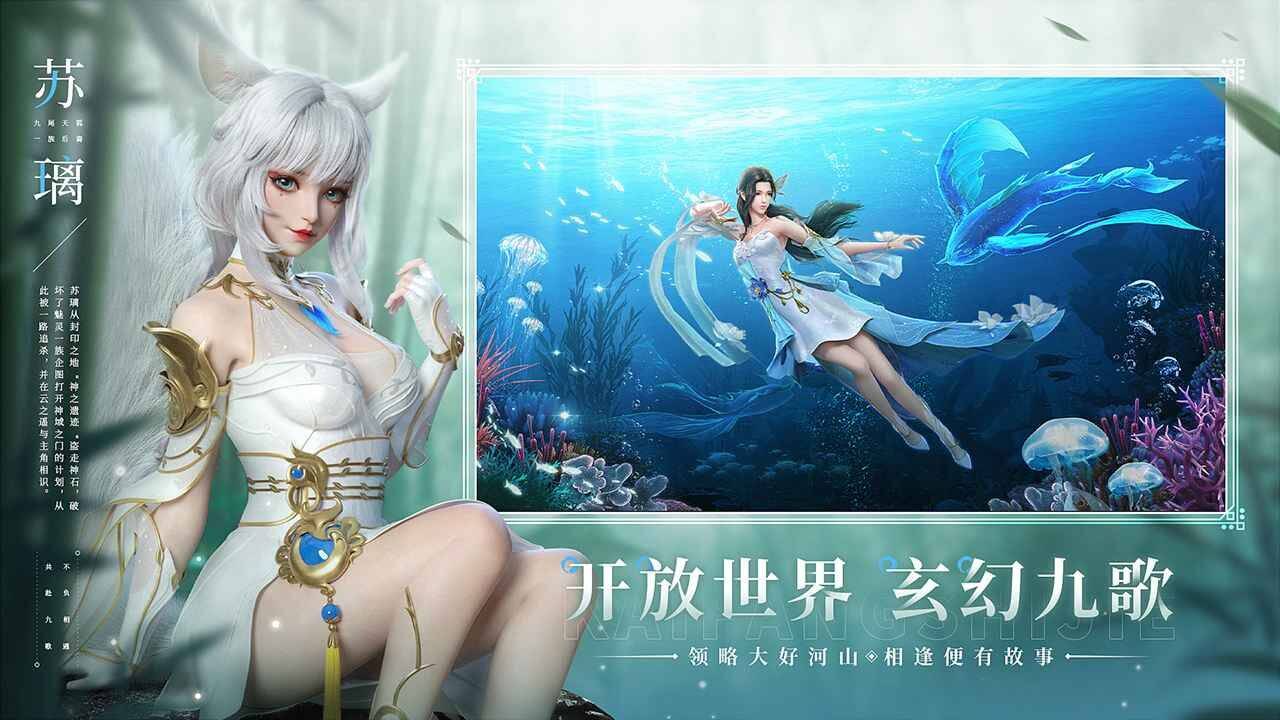 云璃决最多观众