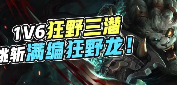 可以看牌库吗