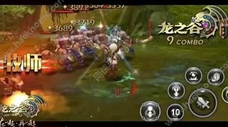 龙之谷祭祀带什么龙鱼？选择合适的龙鱼提升战斗效果