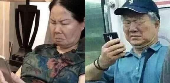 青琼玉犬值得买么