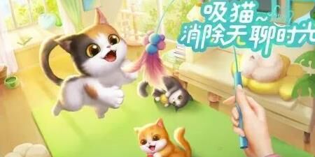 洛克王国马桶之谜揭秘，玩家必读！