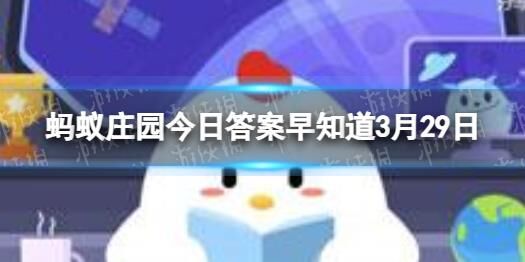 蚂蚁庄园遗失公仔事件揭秘，粉丝们惊呼失落！