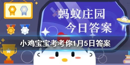 怎么样查看任务