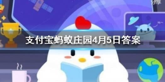 喂鸡一小时多少蛋