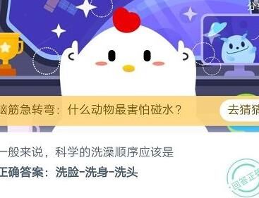 蚂蚁庄园什么时候来偷吃？如何保护庄园免受蚂蚁侵害？