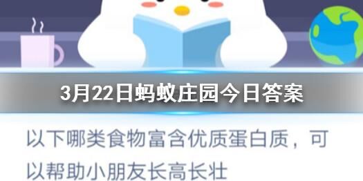 烹饪鸡蛋是什么