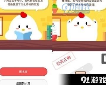 小鸡出去找不回来