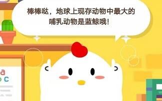 堆堆乐怎么没有