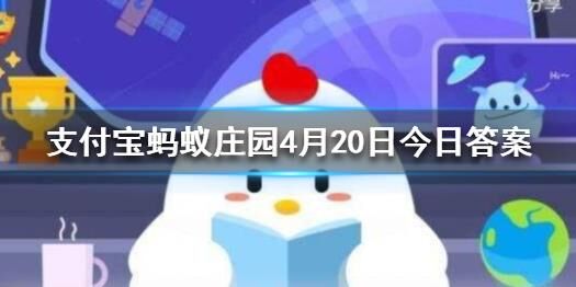 排名是怎么回事