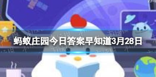 蚂蚁庄园小鸡怎样找回？详细解决方案大公开！